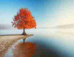 快‌速‍网‌站‍模​板‌服‌务‍是‌什‍么﻿